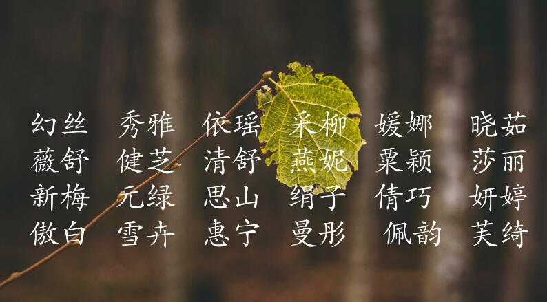 名、字、号综合起名服务